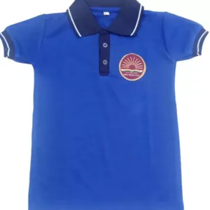 Atharvapparels Blue Uniform T Shirt